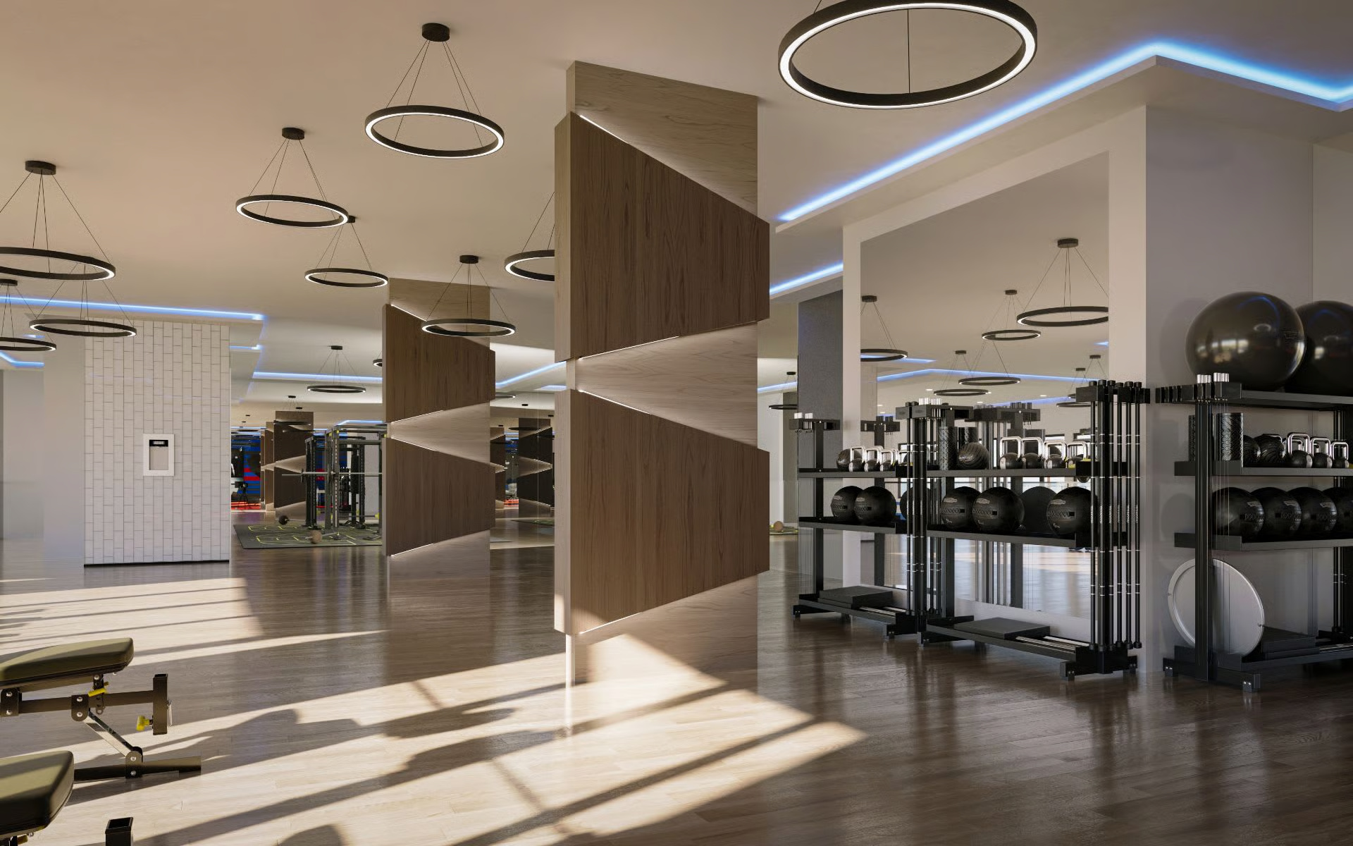 Commercial Gym